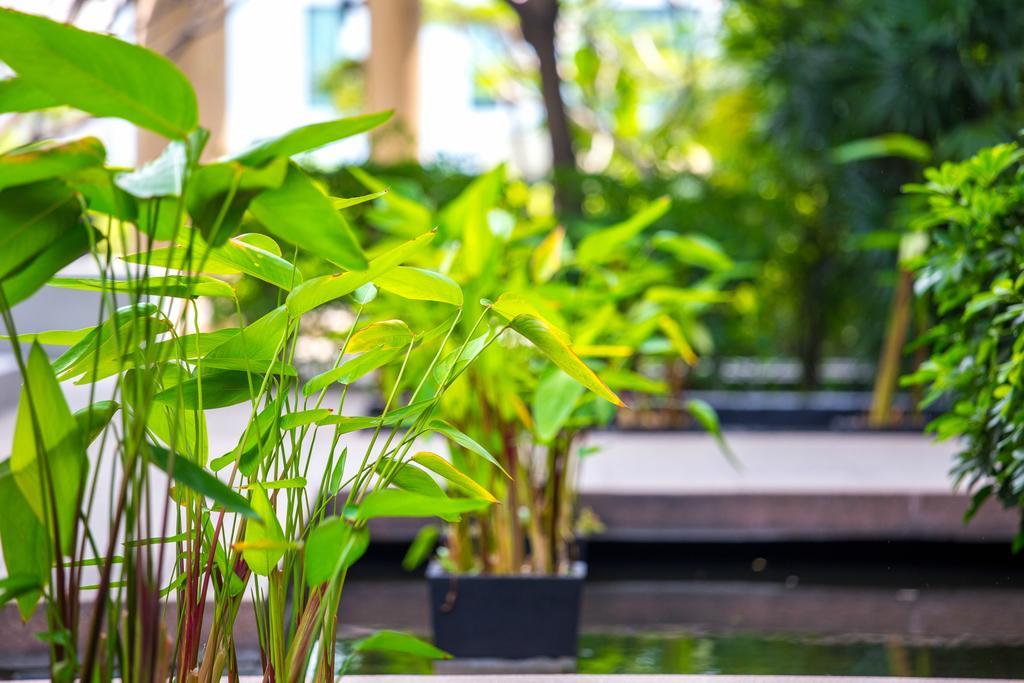 The Capital Resort @ Sukhumvit 50 Bangkok Exterior photo Plants in a water garden